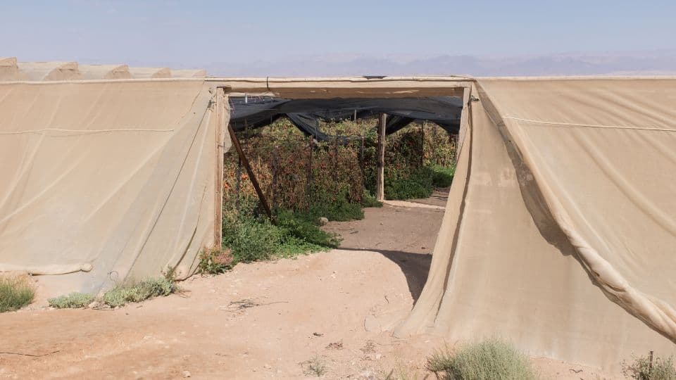 כל הסיבות למה רשת צל זה הדבר הכי טוב שתקנו לגינה