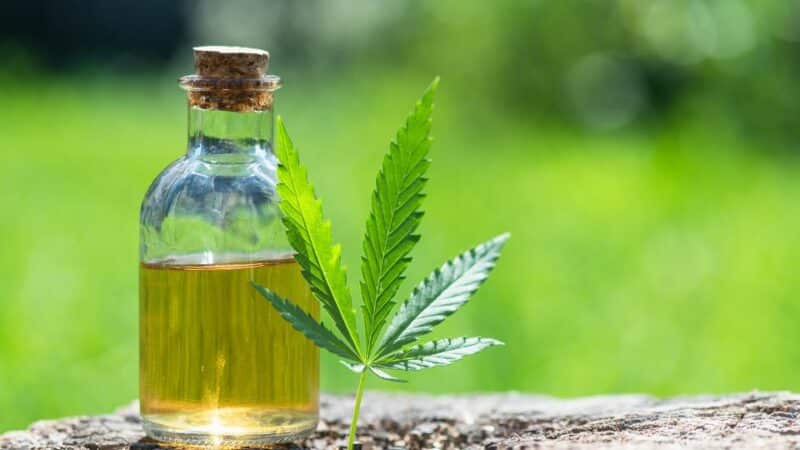 שמן CBD