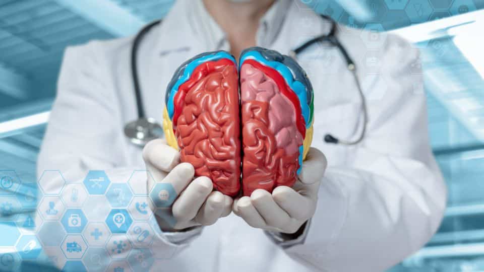 מה מכיל תוסף המומיו ומתי נהוג להתשמש בו